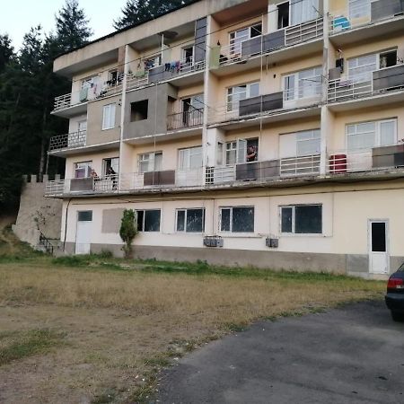 Alena'S Flat Leilighet Borjomi Eksteriør bilde