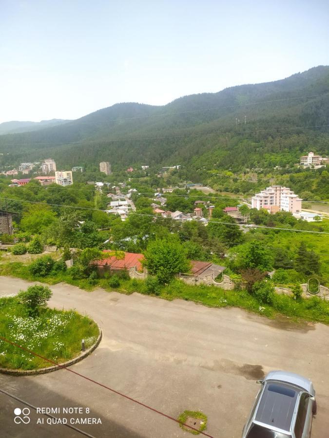 Alena'S Flat Leilighet Borjomi Eksteriør bilde