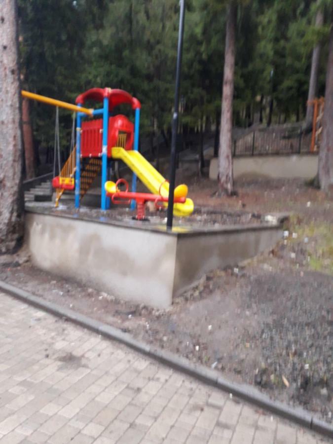 Alena'S Flat Leilighet Borjomi Eksteriør bilde