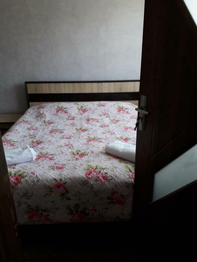 Alena'S Flat Leilighet Borjomi Eksteriør bilde