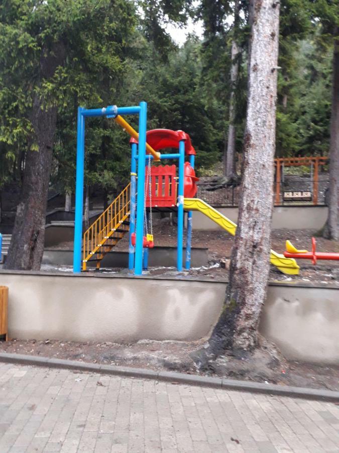 Alena'S Flat Leilighet Borjomi Eksteriør bilde