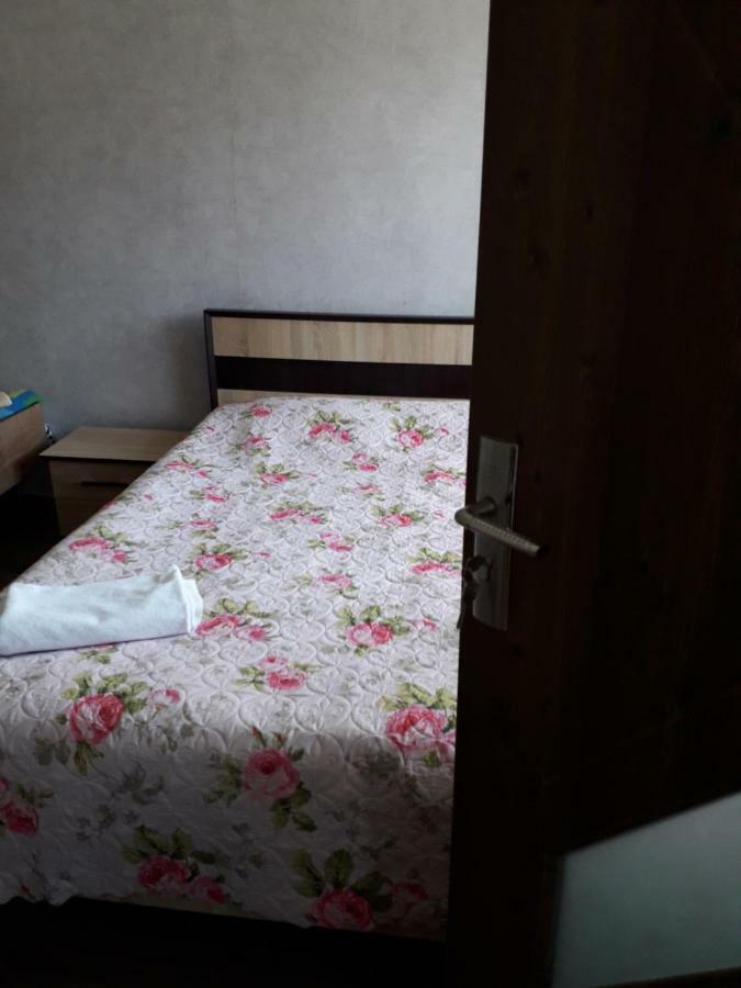 Alena'S Flat Leilighet Borjomi Eksteriør bilde