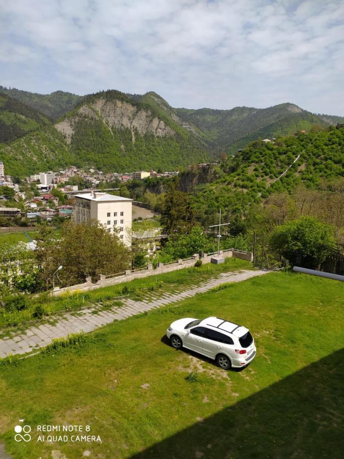 Alena'S Flat Leilighet Borjomi Eksteriør bilde