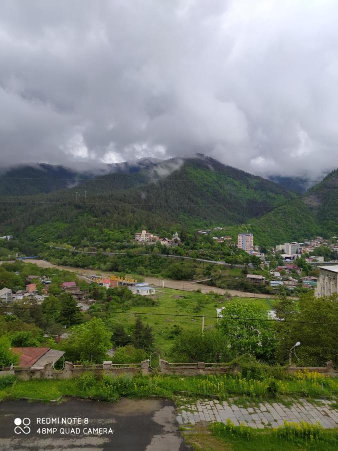 Alena'S Flat Leilighet Borjomi Eksteriør bilde